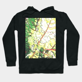 Chard Map Hoodie